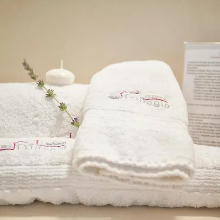 Hotel Relais Casina Miregia 3*